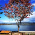 北海道の阿寒湖ももうすぐ冬という10月半ば！綺麗な水と空気と空が皆さんを迎えるでしょう！