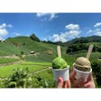 夏空と石寺の茶畑。

#dandancafe
#和束町
#🍵🍃🌱
#0828