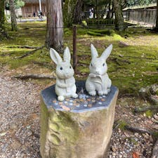 出雲大社のうさぎ🐰
#202110 #s島根