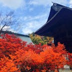 人生初めて紅葉にこんなに感動した🍁
霊松寺のボランティアガイドのおじいちゃんも凄く親切☺️
景色も綺麗だし、お寺の中も鳴き龍、隠し部屋もあって大満足💓