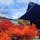 人生初めて紅葉にこんなに感動した🍁
霊松寺のボランティアガイドのおじいちゃんも凄く親切☺️
景色も綺麗だし、お寺の中も鳴き龍、隠し部屋もあって大満足💓