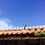 青空にシーサー。
パワーをもらえました。