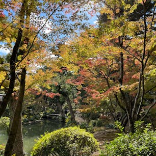 広島縮景園でノンビリした後、帰京します。