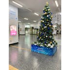 今年の佐賀駅のクリスマスツリー