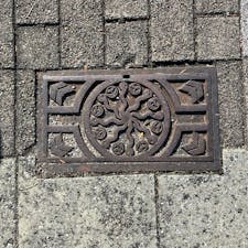 なんかにょろにょろ
出雲