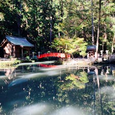 小國神社　静岡県