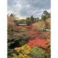 京都の東福寺にて
紅葉を見に行きましたが少し早かったようです
ですが色づき始めもまた良いと思える景色でした
この投稿を見て下さった方に是非紅葉オススメスポットを教えていただきたいものです