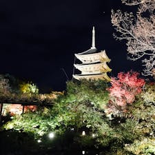 東寺も素敵でした。