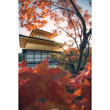 京都/金閣寺