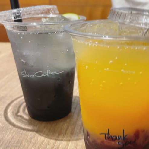 シロカフェ 自由が丘店