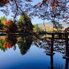 金鱗湖の奥にあるお社の方もとても綺麗に紅葉しています。