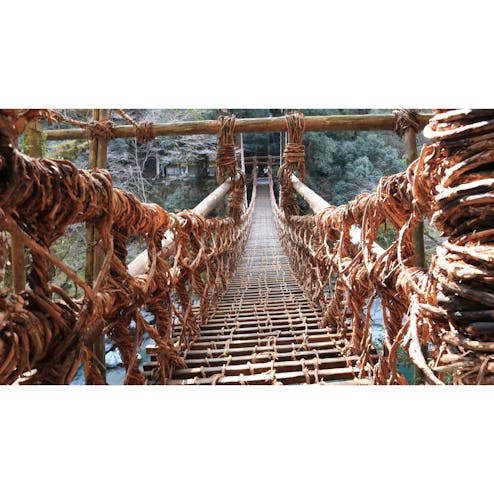 祖谷のかずら橋