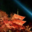 京都
清水寺
ライトアップ