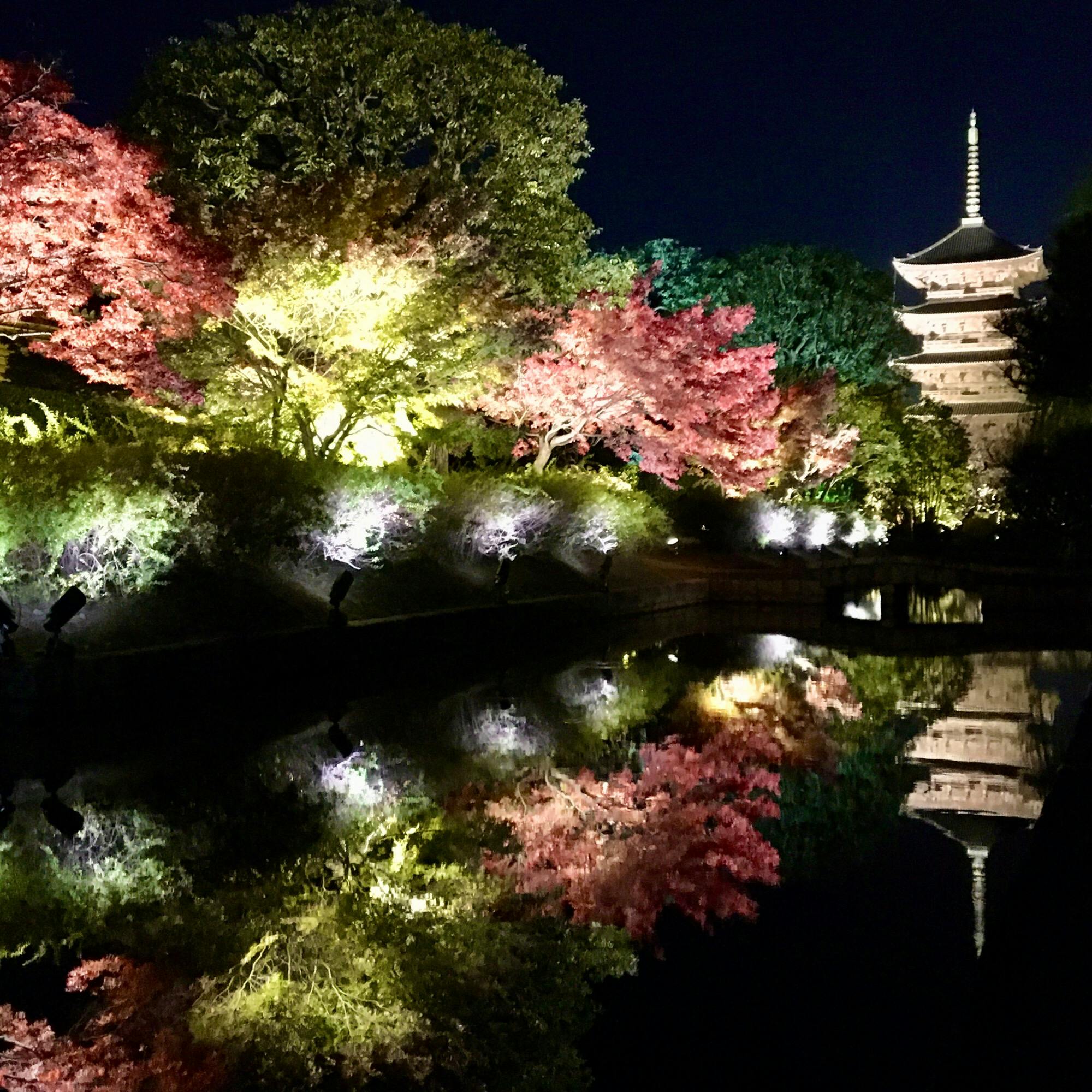 東寺 [教王護国寺 とうじ] の投稿写真、感想、みどころ  京都東寺 