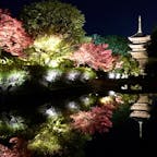 京都
東寺
ライトアップ