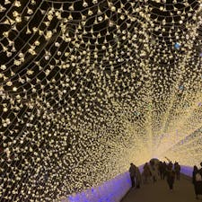 三重：なばなの里✨