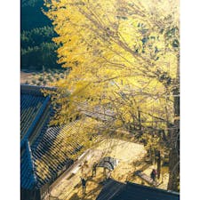 和歌山県ー光泉寺