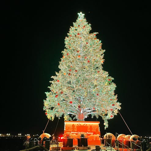 はこだてクリスマスファンタジー