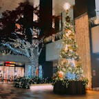 東京スクエアガーデン　クリスマスツリー