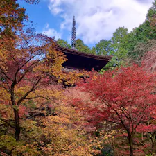 滋賀県、湖東三山の１つ金剛輪寺