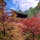 滋賀県、湖東三山の１つ金剛輪寺