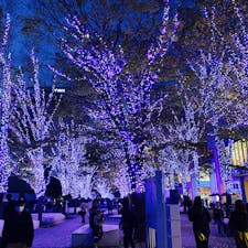 横浜のイルミネーション、写真はMARK ISの近くで撮ったもの。