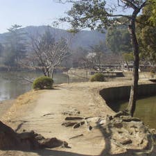 大覚寺　大沢池

左手が大沢池で右手は放生池です、此のみちの手前が護摩堂です。
大沢池でも此処が最高に好きな所です。

#サント船長の写真　#京都三大池　#時代劇撮影地