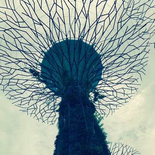 ガーデンズ・バイ・ザ・ベイ