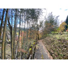 どんぐりの里いなぶから大井平公園までの道
#202111 #s愛知