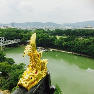 岡山城から。シャチホコ越しの後楽園。