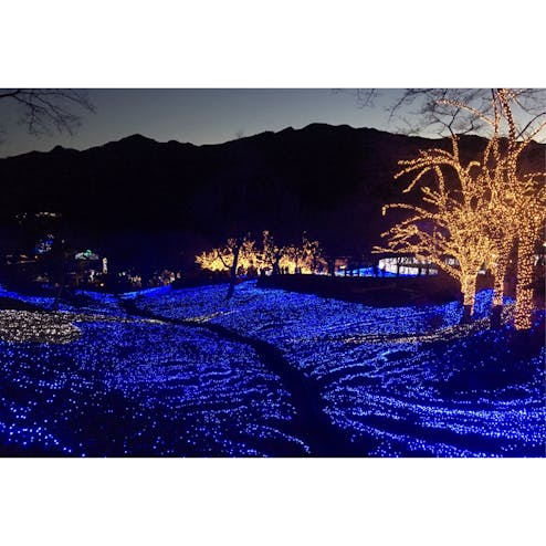 さがみ湖イルミリオン