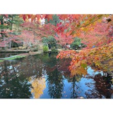 場所忘れたけど岐阜県
#202111 #s岐阜