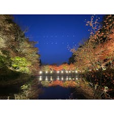 穴弘法のもみじ祭り
#202111 #s岐阜