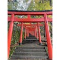 出石城近くにある稲荷神社にて
上までは登っていませんが、京都にある伏見稲荷神社と似た雰囲気を感じました
まるで千本鳥居のような、、
稲荷とつく神社は鳥居を何本も並べるのが掟なのでしょうか
兵庫にもこんな場所があるのだと知って少し興奮しました