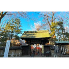 自由が丘で道に迷っている最中に出会ったお寺、九品仏浄真寺。まだ紅葉が少し見られた！それにしても大きなお寺で、境内にはネコが何匹もいました。

#東京