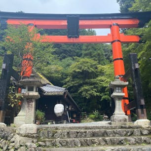 愛宕神社一の鳥居

火の要慎の神、京都愛宕神社詣での愛宕街道の古道に立つ一の鳥居



#サント船長の写真　#鳥居