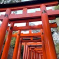 少し前に行った日帰り京都旅👘🍂
　
　
#京都 #神社 #伏見稲荷神社 #kyoto #⛩