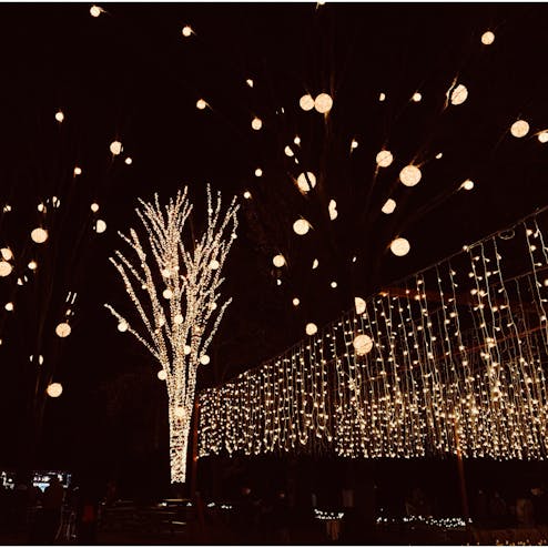 国営武蔵丘陵森林公園