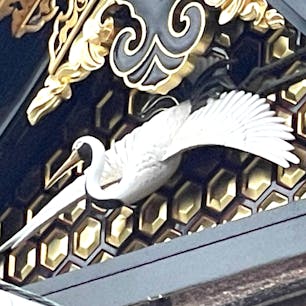 西本願寺　唐門
唐門左側面位置の丹頂鶴。

#サント船長の写真  #門巡り　#解体修復前