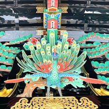 西本願寺　唐門
唐門正面上に置かれた見事な孔雀🦚目を引きますね。

#サント船長の写真  #門巡り　#解体修復前