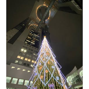 ツリー上空の光の輪。行った人なら分かる不思議な輪です。