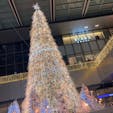 名古屋駅のクリスマスツリー2021
キラキラで素敵！
#202112 #s愛知