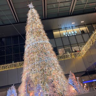 名古屋駅のクリスマスツリー
キラキラで素敵！
#202112 #s愛知