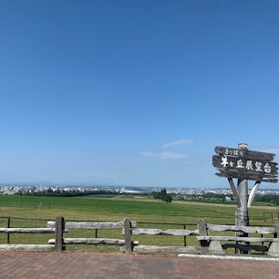 夏の札幌