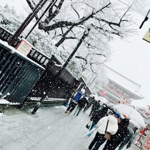 2022.1.6 in 東京 浅草

4年に1度の大雪でした⛄