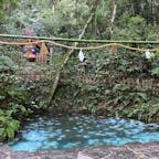 八重垣神社といえば、神社裏手にある鏡の池の占い。

透んだ池に占いの紙を浮かべ、その上に100円玉か10円玉を置いて、紙が沈む早さと沈む位置で縁を占います。

池に沈んでいる白いものは、全部占いの紙です。