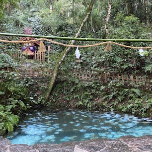 八重垣神社といえば、神社裏手にある鏡の池の占い。

透んだ池に占いの紙を浮かべ、その上に100円玉か10円玉を置いて、紙が沈む早さと沈む位置で縁を占います。

池に沈んでいる白いものは、全部占いの紙です。