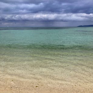 真冬の曇天でこのクオリティ