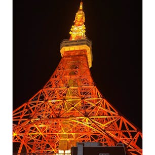 二階建てのオープンバスからは東京タワーが綺麗に見えました。