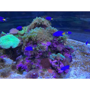 うみたまご

うみたまごの最後の投稿。
本当に綺麗な水族館で子供から大人まで楽しめる場所だと思いました（´-`）.｡oO（

次からは過去の写真を投稿できたらと思います。大分編終了。

#大分#水族館